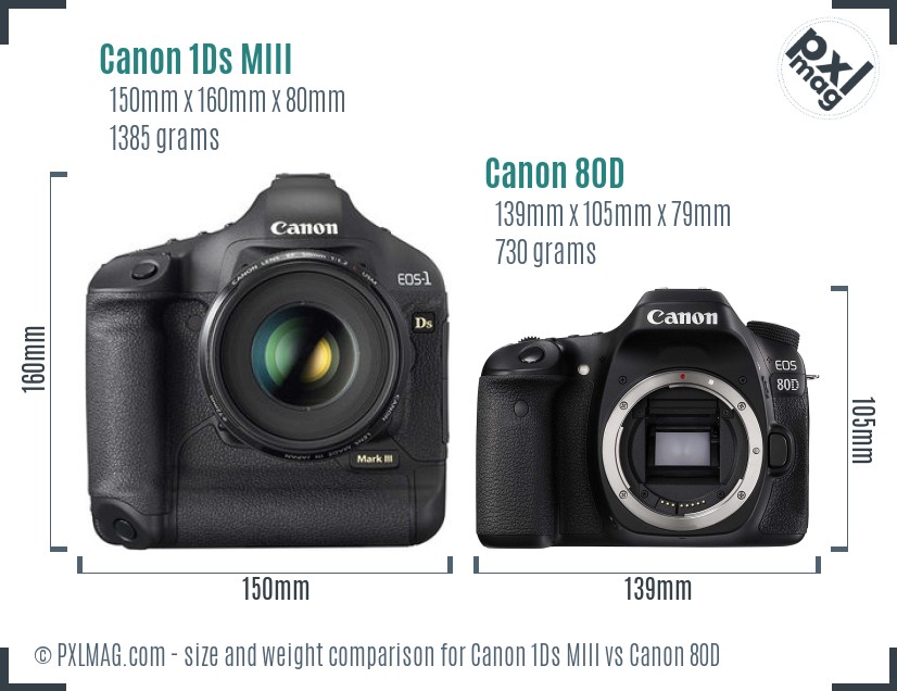 Canon 1Ds MIII vs Canon 80D size comparison