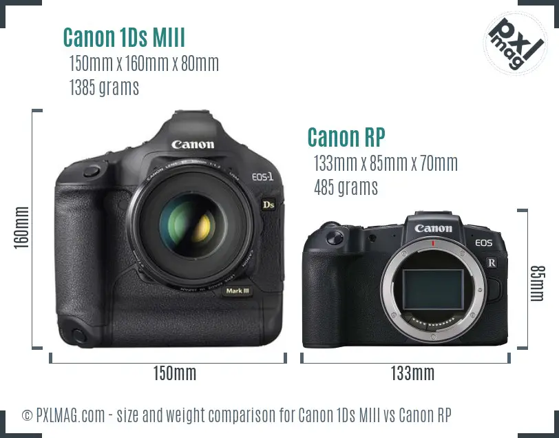 Canon 1Ds MIII vs Canon RP size comparison