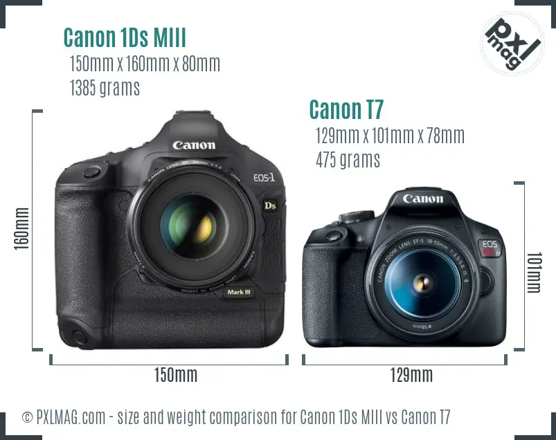 Canon 1Ds MIII vs Canon T7 size comparison