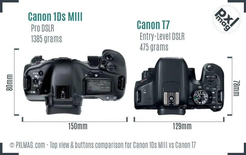 Canon 1Ds MIII vs Canon T7 top view buttons comparison