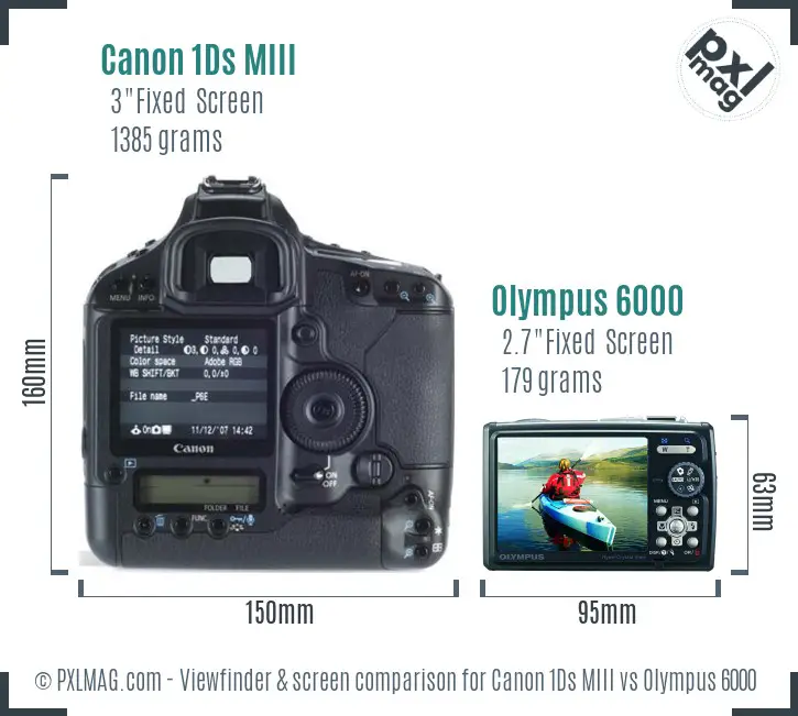 Canon 1Ds MIII vs Olympus 6000 Screen and Viewfinder comparison