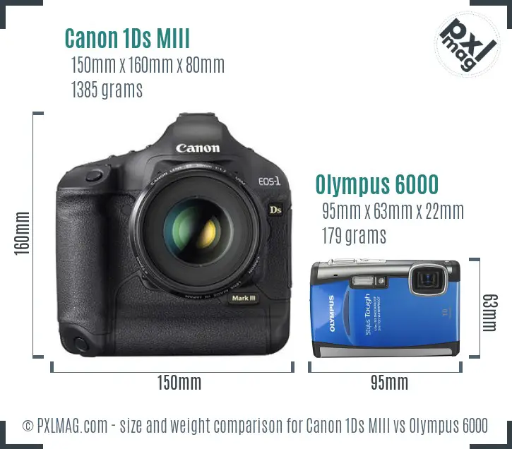 Canon 1Ds MIII vs Olympus 6000 size comparison