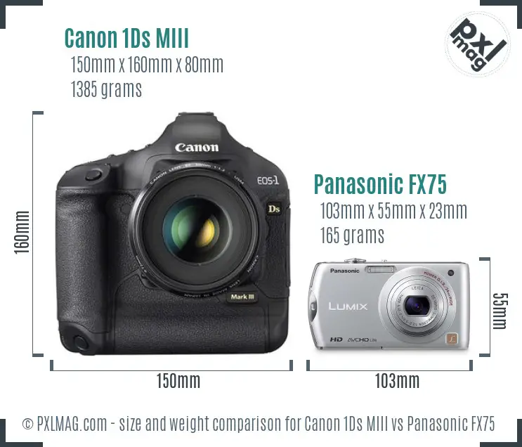 Canon 1Ds MIII vs Panasonic FX75 size comparison