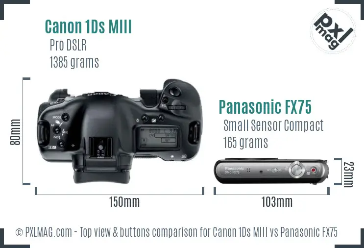 Canon 1Ds MIII vs Panasonic FX75 top view buttons comparison