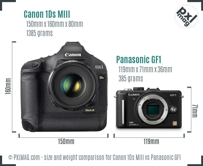 Canon 1Ds MIII vs Panasonic GF1 size comparison