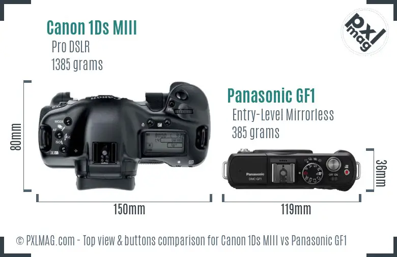 Canon 1Ds MIII vs Panasonic GF1 top view buttons comparison