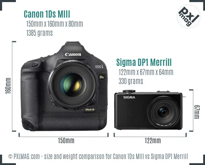Canon 1Ds MIII vs Sigma DP1 Merrill size comparison