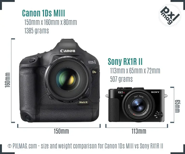 Canon 1Ds MIII vs Sony RX1R II size comparison