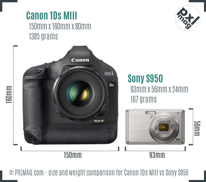 Canon 1Ds MIII vs Sony S950 size comparison