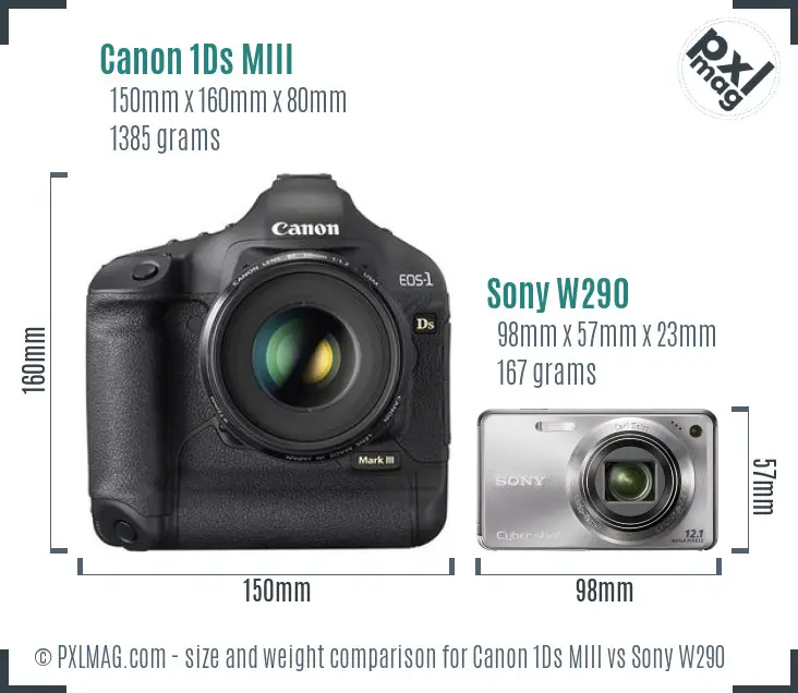 Canon 1Ds MIII vs Sony W290 size comparison