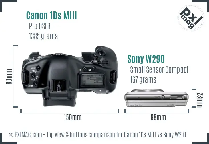 Canon 1Ds MIII vs Sony W290 top view buttons comparison