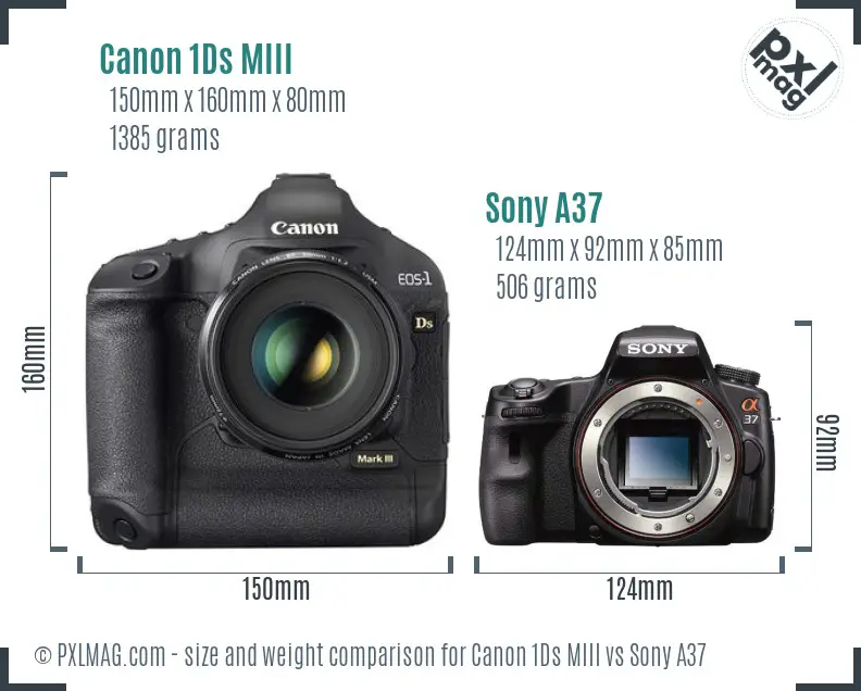 Canon 1Ds MIII vs Sony A37 size comparison