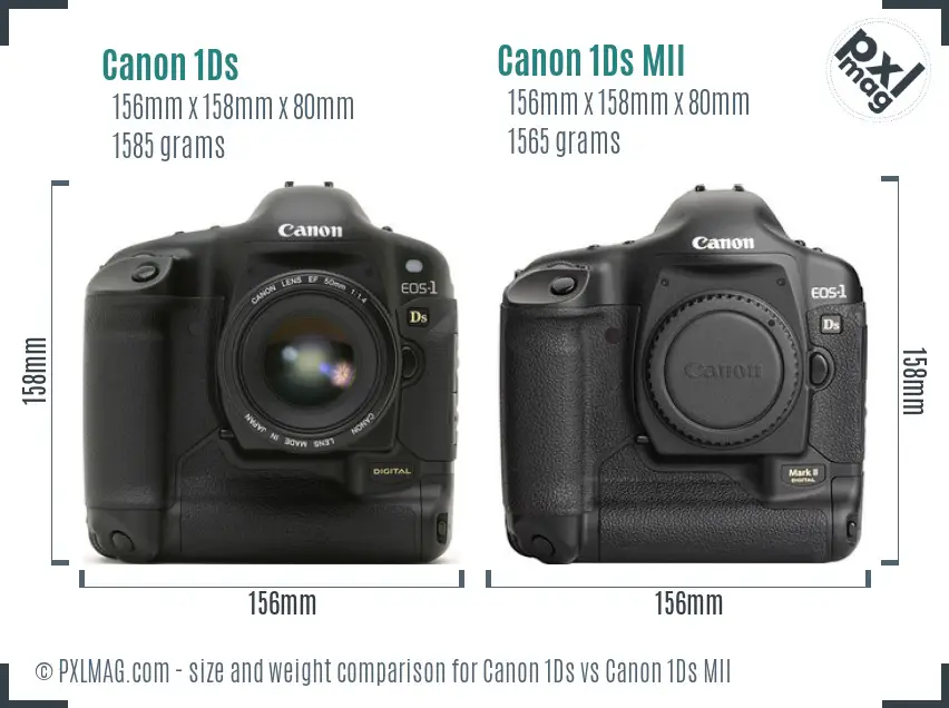 Canon 1Ds vs Canon 1Ds MII size comparison