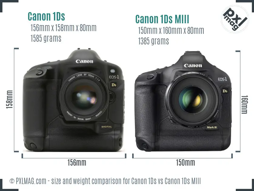 Canon 1Ds vs Canon 1Ds MIII size comparison