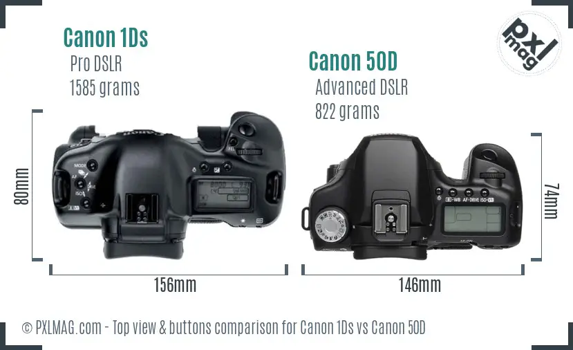 Canon 1Ds vs Canon 50D top view buttons comparison