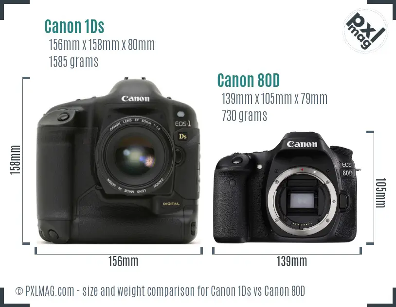 Canon 1Ds vs Canon 80D size comparison Canon 1Ds vs Canon 80D size comparison
