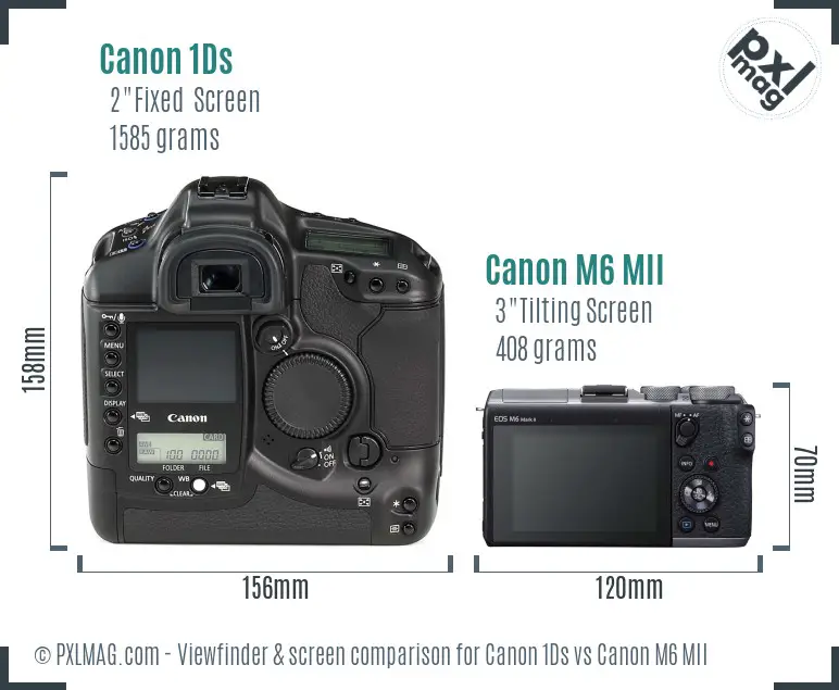 Canon 1Ds vs Canon M6 MII Screen and Viewfinder comparison