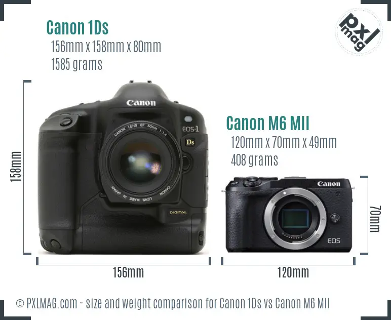 Canon 1Ds vs Canon M6 MII size comparison