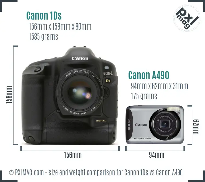 Canon 1Ds vs Canon A490 size comparison