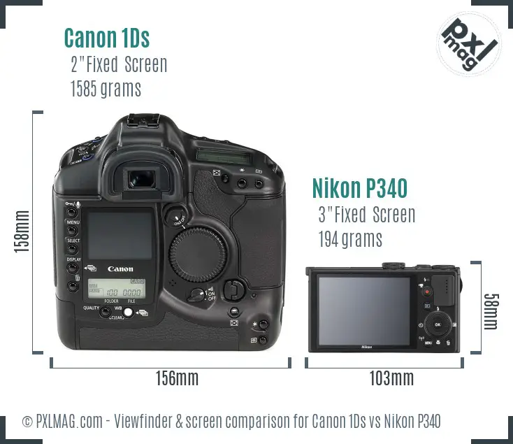 Canon 1Ds vs Nikon P340 Screen and Viewfinder comparison