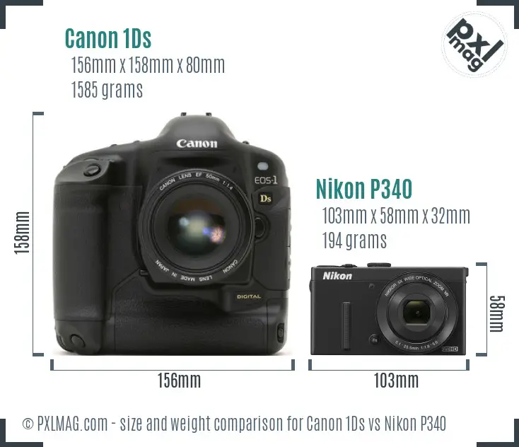 Canon 1Ds vs Nikon P340 size comparison