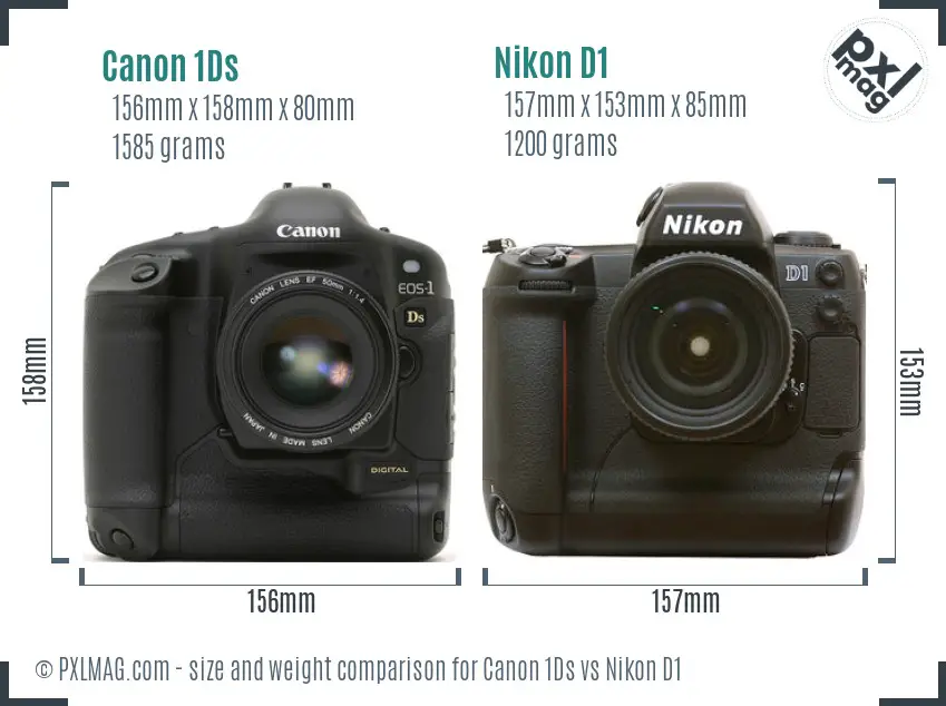 Canon 1Ds vs Nikon D1 size comparison