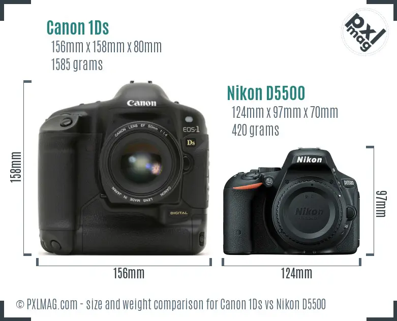 Canon 1Ds vs Nikon D5500 size comparison
