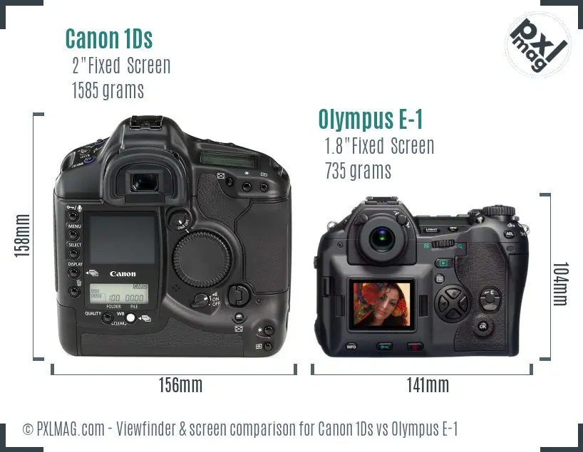 Canon 1Ds vs Olympus E-1 Screen and Viewfinder comparison