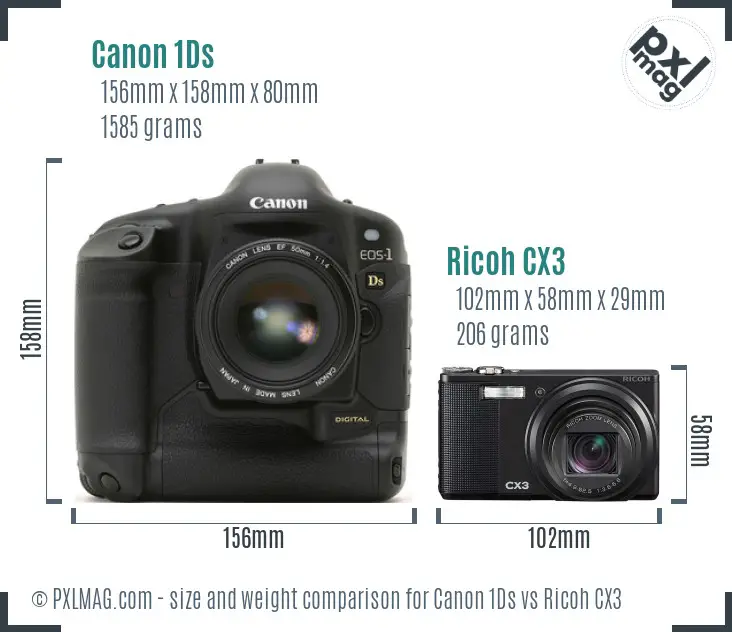 Canon 1Ds vs Ricoh CX3 size comparison