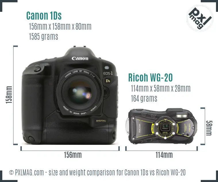 Canon 1Ds vs Ricoh WG-20 size comparison