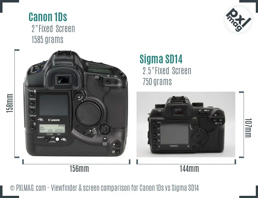 Canon 1Ds vs Sigma SD14 Screen and Viewfinder comparison