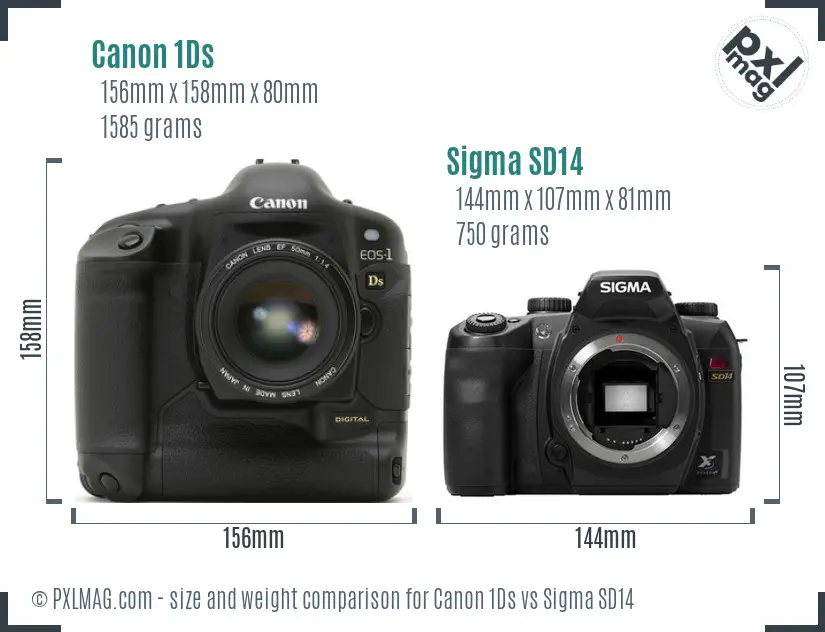 Canon 1Ds vs Sigma SD14 size comparison