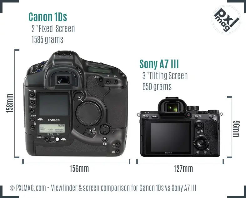 Canon 1Ds vs Sony A7 III Screen and Viewfinder comparison