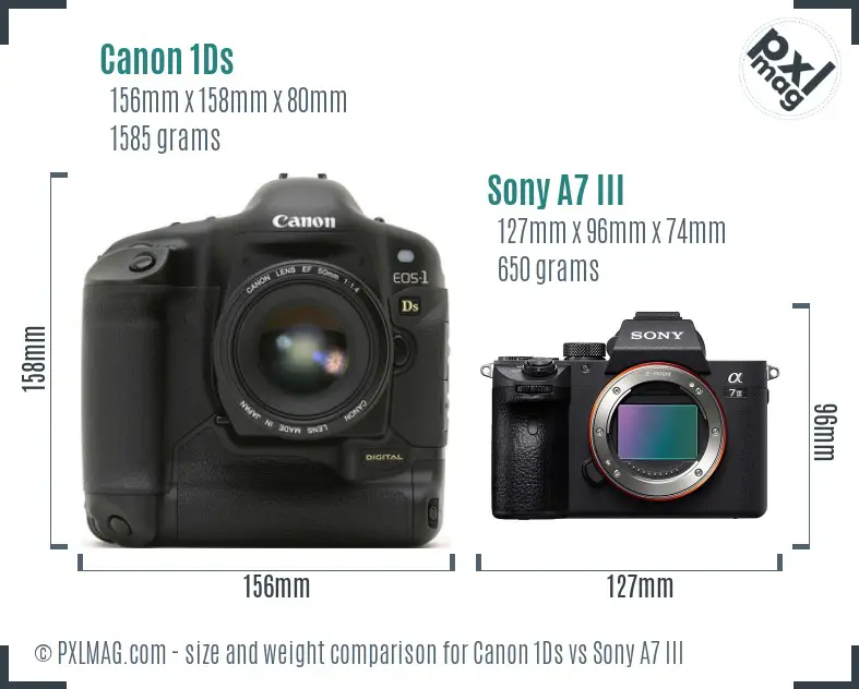 Canon 1Ds vs Sony A7 III size comparison