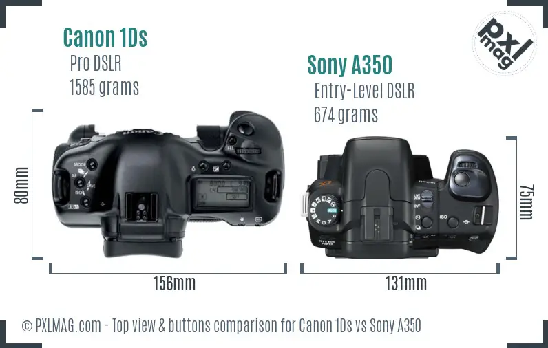 Canon 1Ds vs Sony A350 top view buttons comparison