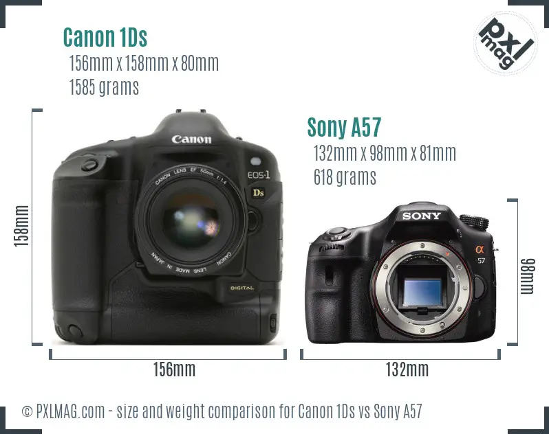 Canon 1Ds vs Sony A57 size comparison