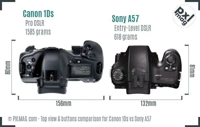 Canon 1Ds vs Sony A57 top view buttons comparison