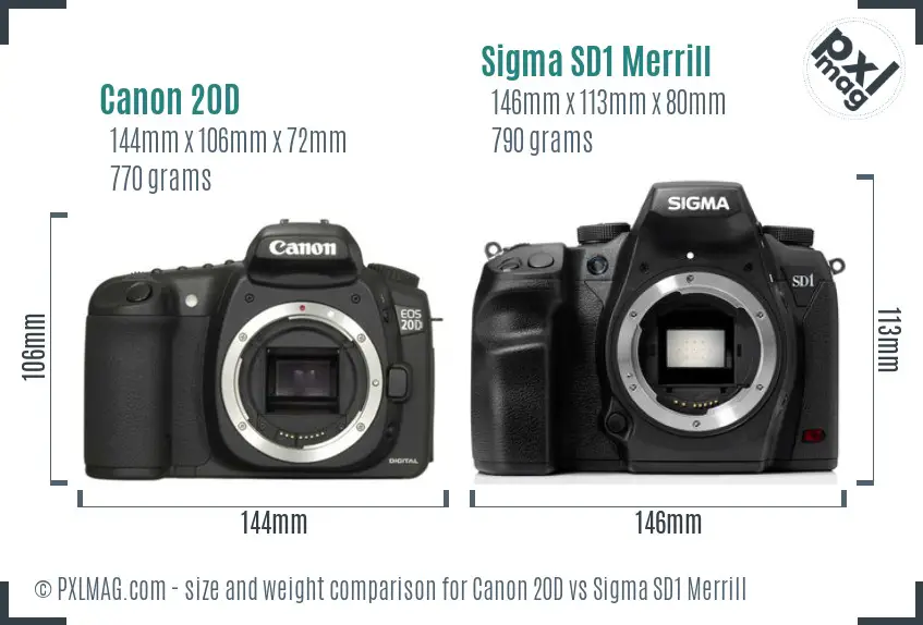 Canon 20D vs Sigma SD1 Merrill size comparison