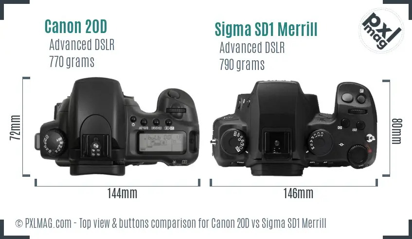 Canon 20D vs Sigma SD1 Merrill top view buttons comparison