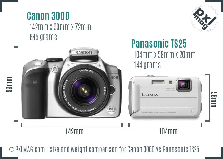 Canon 300D vs Panasonic TS25 size comparison