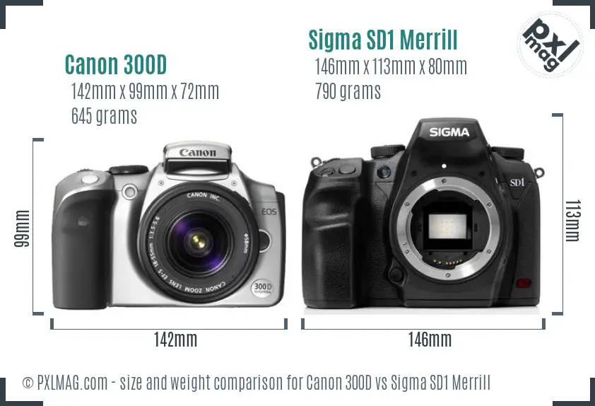 Canon 300D vs Sigma SD1 Merrill size comparison