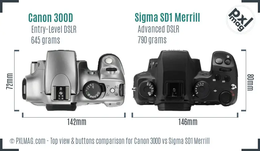 Canon 300D vs Sigma SD1 Merrill top view buttons comparison