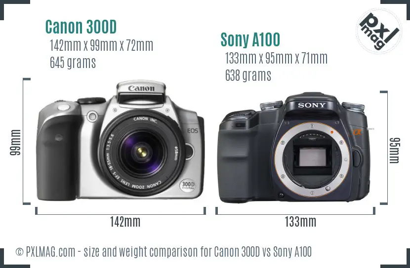 Canon 300D vs Sony A100 size comparison