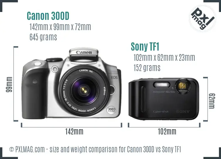 Canon 300D vs Sony TF1 size comparison