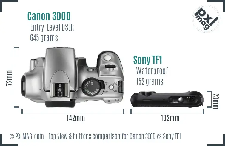 Canon 300D vs Sony TF1 top view buttons comparison