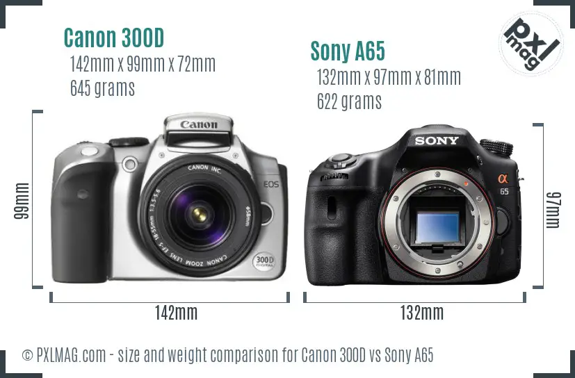 Canon 300D vs Sony A65 size comparison