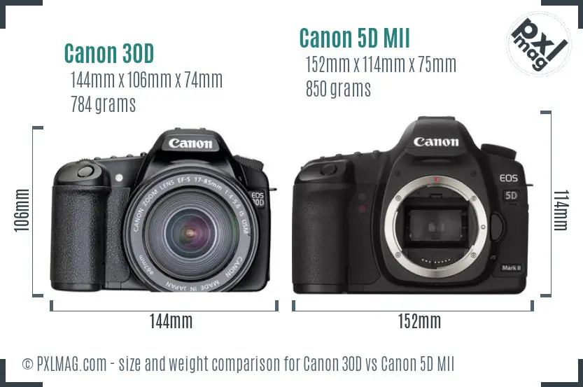 Canon 30D vs Canon 5D MII size comparison