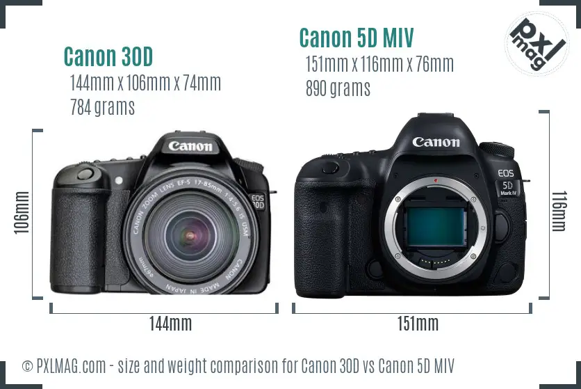 Canon 30D vs Canon 5D MIV size comparison