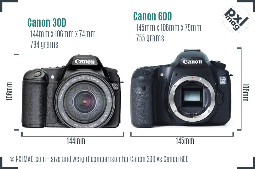 Canon 30D vs Canon 60D size comparison