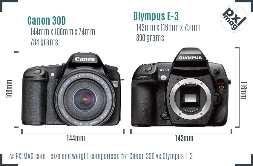 Canon 30D vs Olympus E-3 size comparison